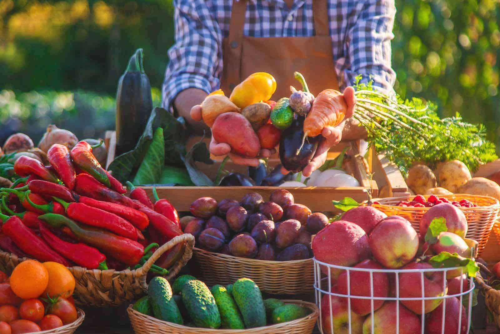 Week of Eating Only Seasonal Produce and How It Shifted My Routine